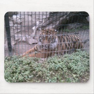 Tiger Mouse Pad
