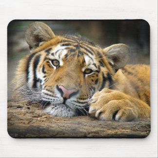 Tiger Mousepad