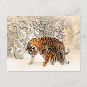 tiger mum and baby postcard