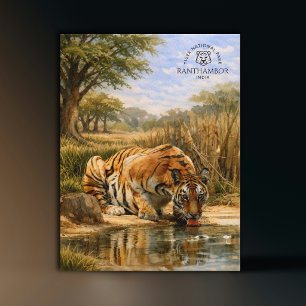  Tiger National Park Ranthambor India   Watercolor Postcard