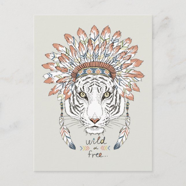 Tiger Native American Indian Chief Postcard (Front)