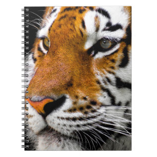 Tiger Notebook