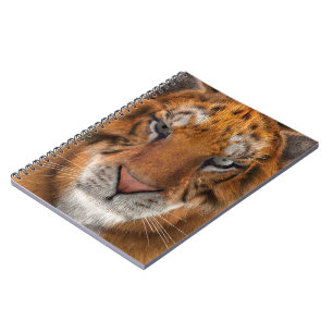 Tiger Notebook