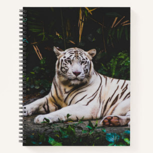 Tiger Notebook
