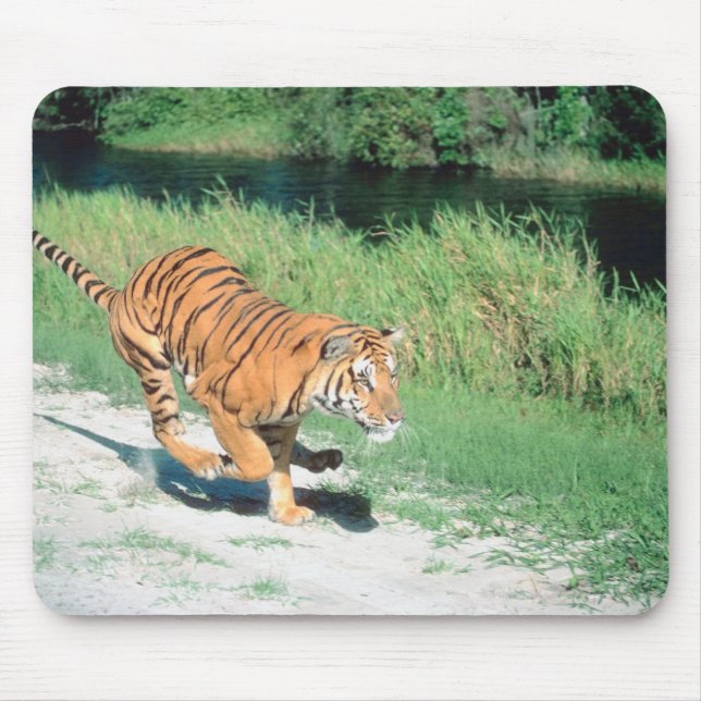 Tiger on path mouse pad (Front)