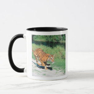 Tiger on path mug