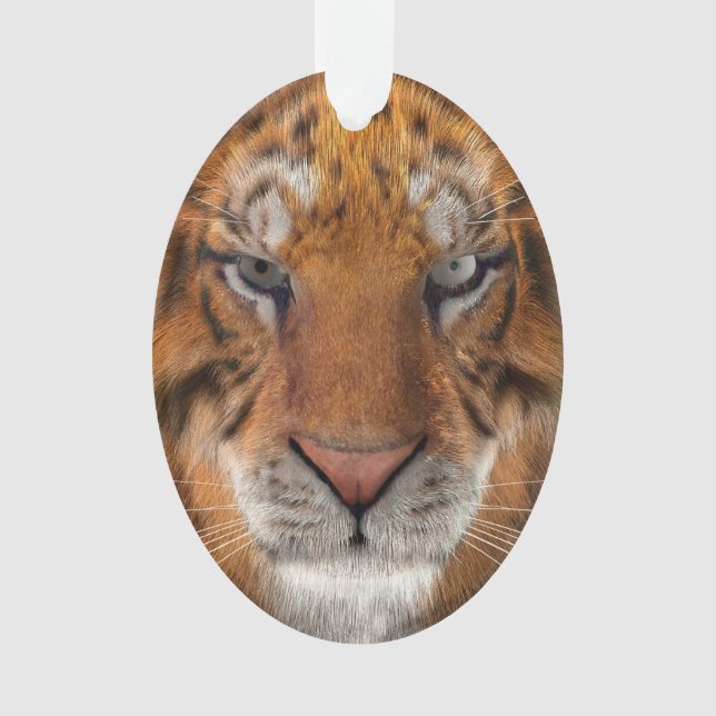 Tiger Ornament (Front)