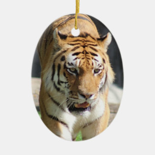 Tiger ornament