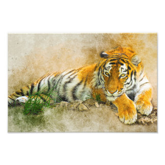 Tiger painting photo print