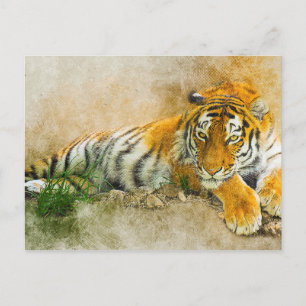 Tiger painting postcard