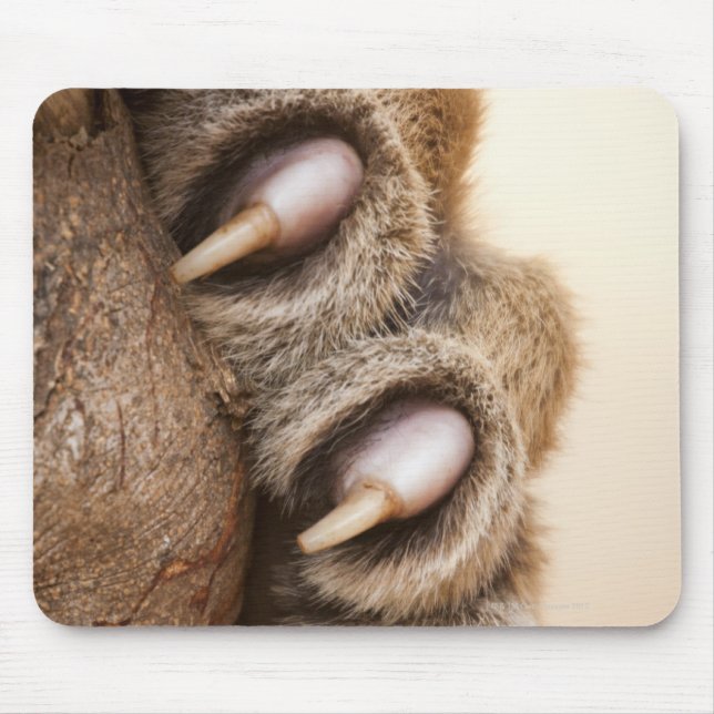 Tiger paw mouse pad (Front)