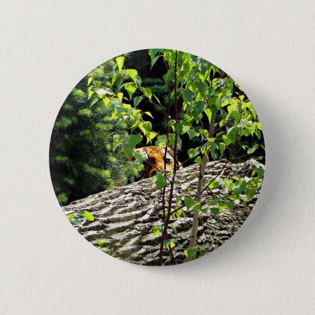 Tiger Peek-a-boo Button (Front)