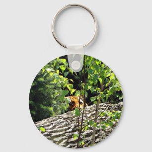 Tiger Peek-a-boo Keychain