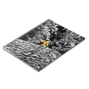 Tiger Peek-a-boo Notebok Notebook