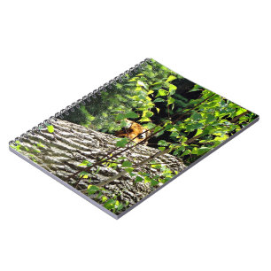 Tiger Peek-a-boo Notebook