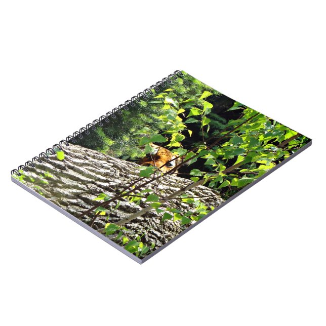 Tiger Peek-a-boo Notebook (Left Side)