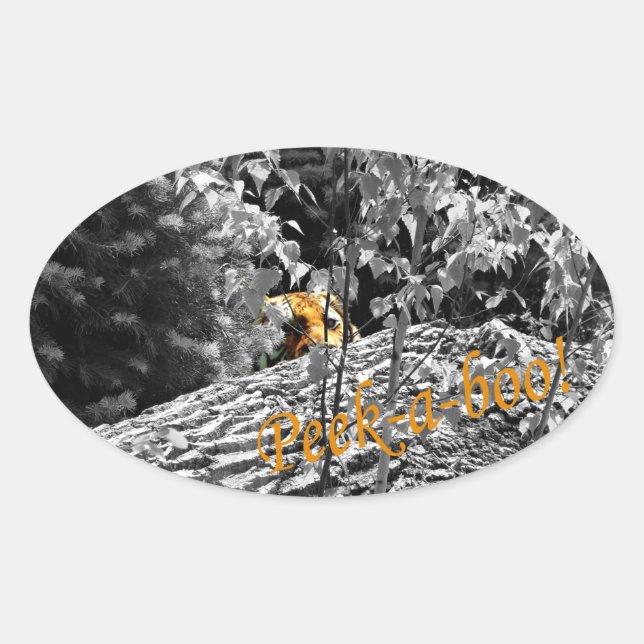 Tiger Peek-a-boo Sticker (Front)