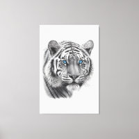 Tiger - Pencil Drawing with blue eyes
