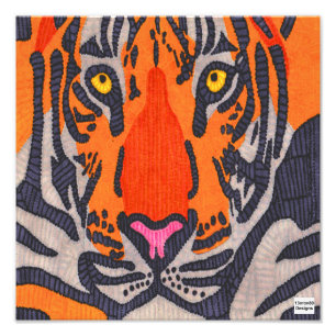 Tiger - Photo Print