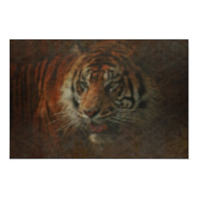 Tiger Photo Print (Front)