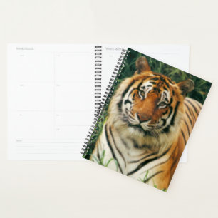 Tiger Planner