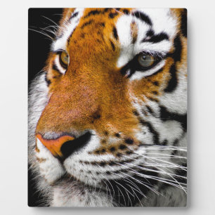 Tiger Plaque