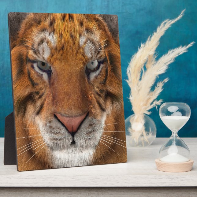 Tiger Plaque (Side)