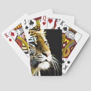 Tiger Playing Cards