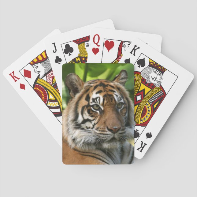 Tiger Playing Cards (Back)