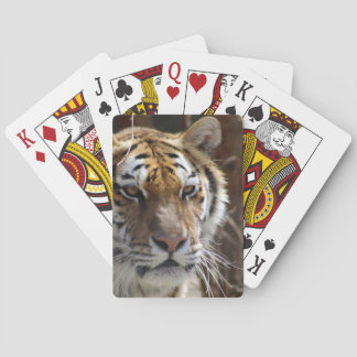 Tiger Playing Cards