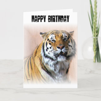 Tiger portrait card