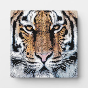 Tiger Portrait in Graphic Press Style Plaque