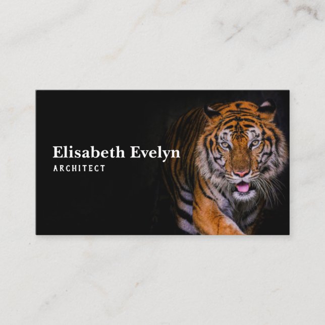 Tiger portrait of a bengal tiger in thailand business card (Front)