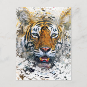 Tiger Postcard