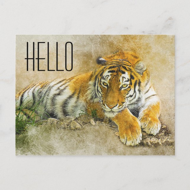 Tiger Postcard (Front)