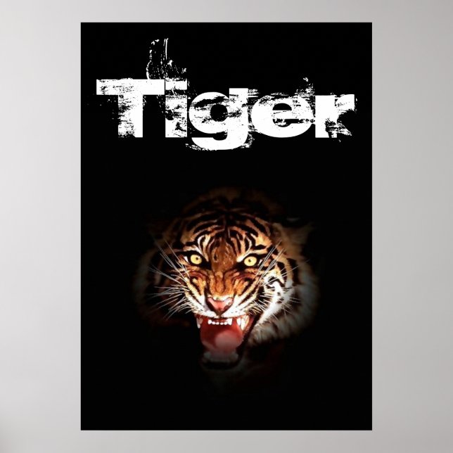 Tiger Poster (Front)