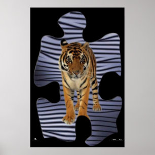 Tiger Poster