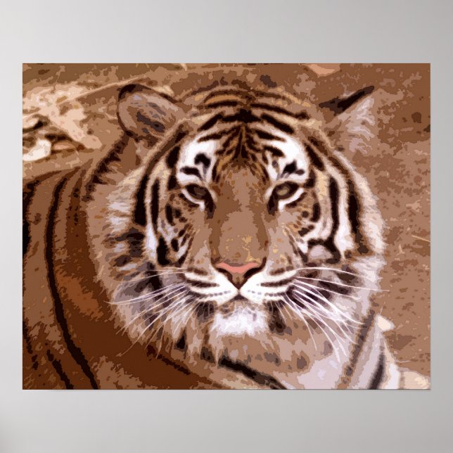 Tiger Poster (Front)