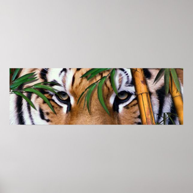 tiger poster (Front)