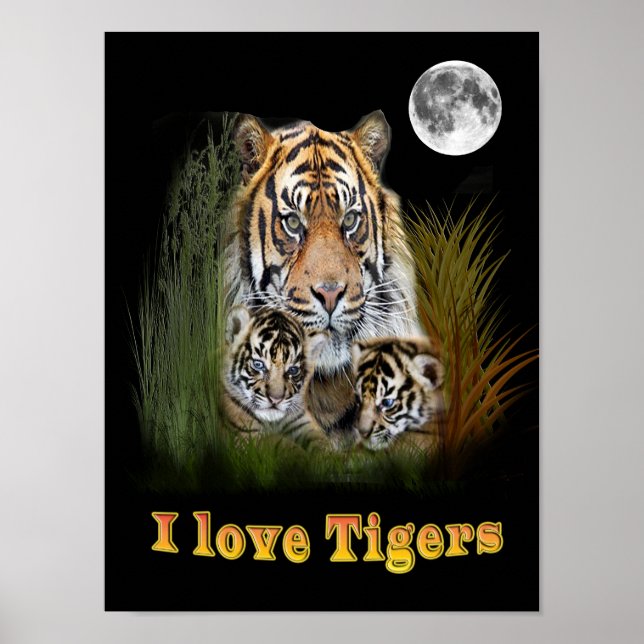 tiger poster (Front)