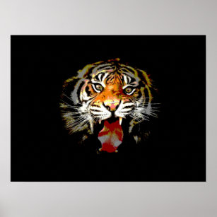 Tiger Poster Print - Pop Art Style Tigers Posters