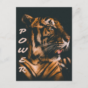 Tiger Power Stripes Fierce Motivational Postcard