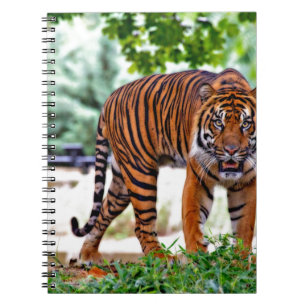 tiger print cat custom personalise Anniversaries Spiral Notebook