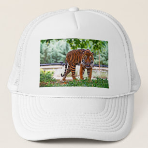 tiger print cat custom personalise Anniversaries Trucker Hat