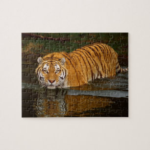 Tiger Puzzle