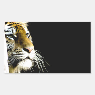 Tiger Rectangular Sticker