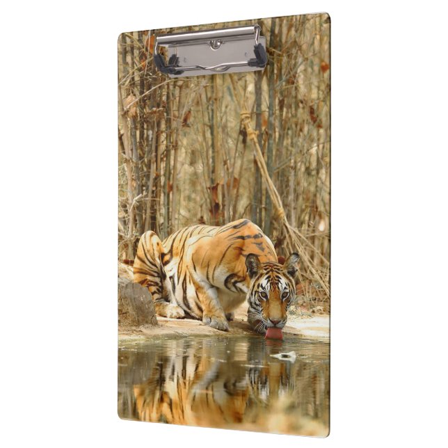Tiger Reflection Clipboard (Left)