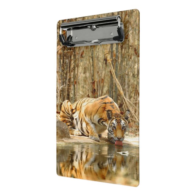 Tiger Reflection Clipboard (Angled2)