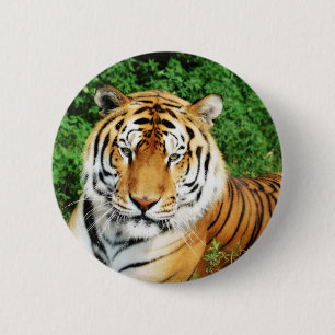 Tiger Relaxing 6 Cm Round Badge
