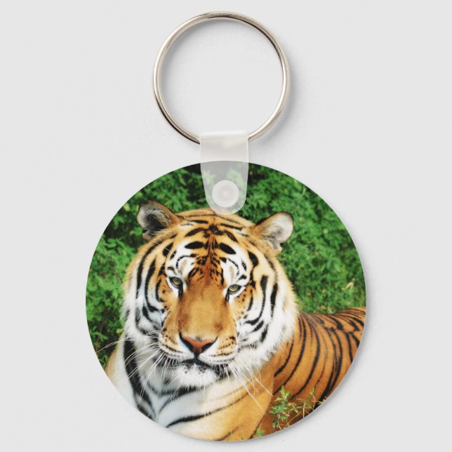 Tiger Relaxing Key Ring (Front)